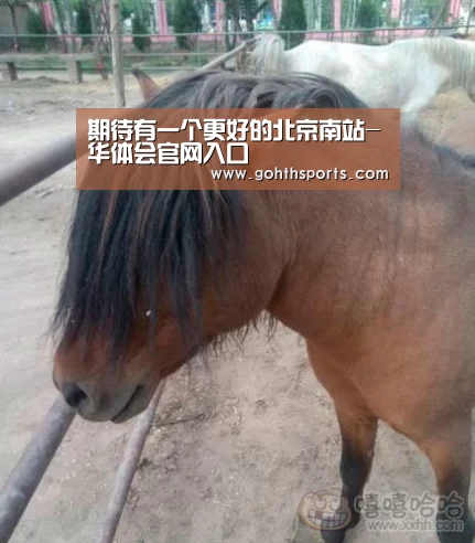期待有一个更好的北京南站-华体会官网入口(图2) 华体会首页