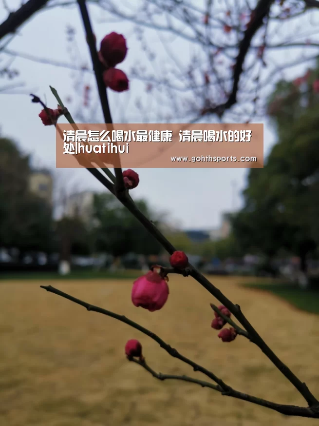 hth华体育官方入口